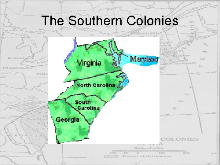 The Southern Colonies 