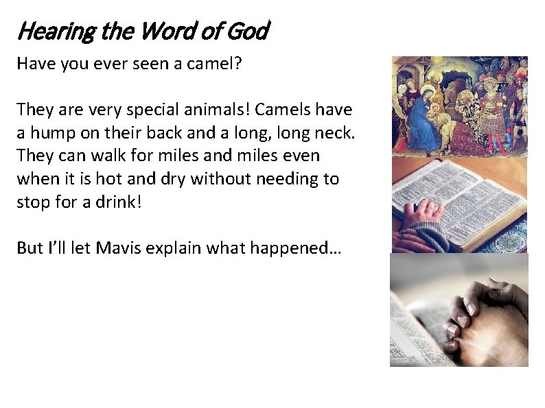 Hearing the Word of God Have you ever seen a camel? They are very