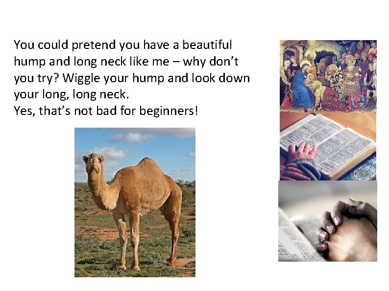 You could pretend you have a beautiful hump and long neck like me –