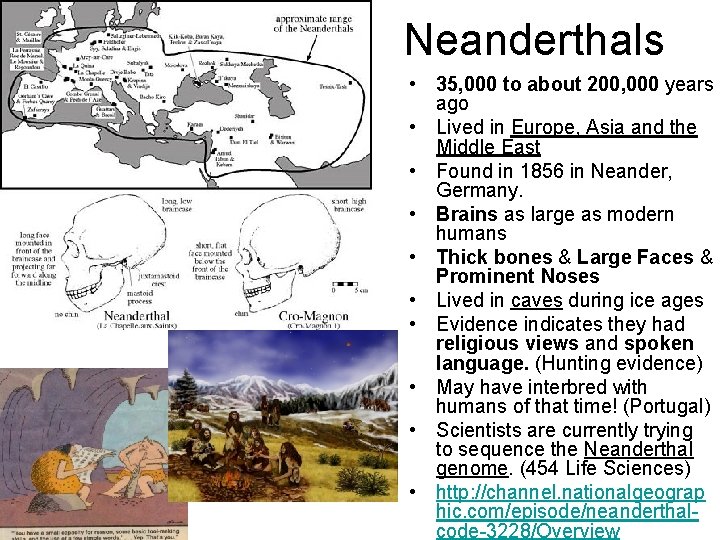 Neanderthals • 35, 000 to about 200, 000 years ago • Lived in Europe,