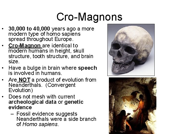 Cro-Magnons • 30, 000 to 40, 000 years ago a more modern type of