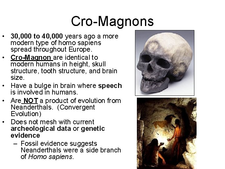 Cro-Magnons • 30, 000 to 40, 000 years ago a more modern type of