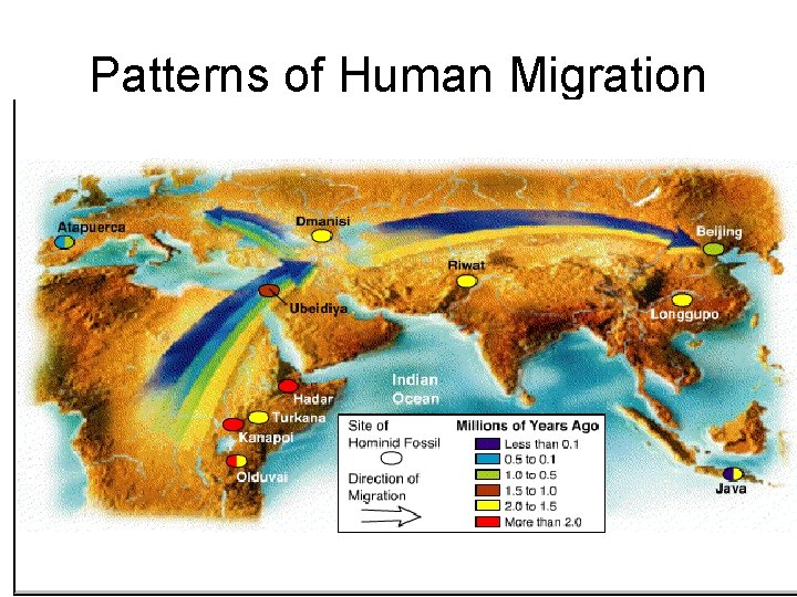 Patterns of Human Migration 