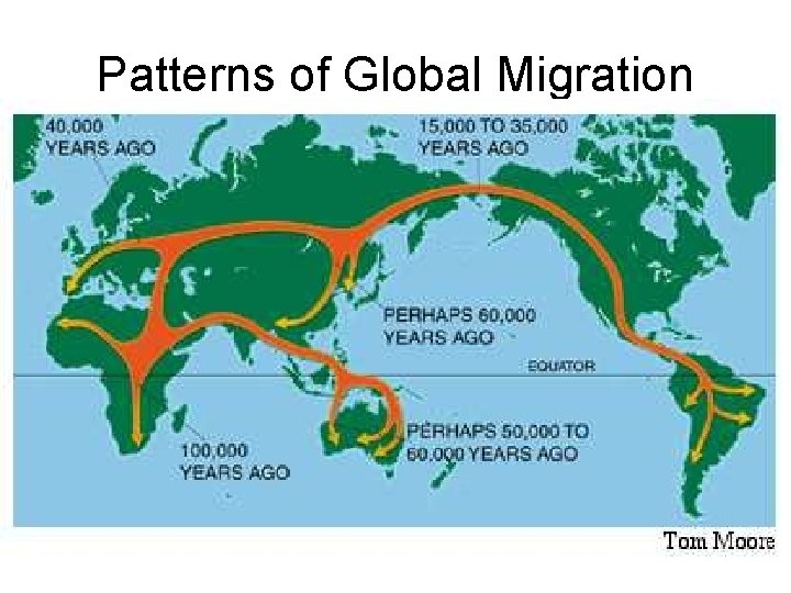 Patterns of Global Migration 