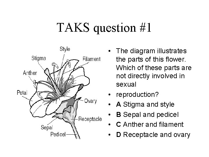 TAKS question #1 • The diagram illustrates the parts of this flower. Which of