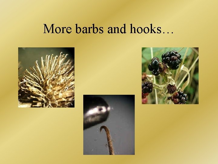 More barbs and hooks… 