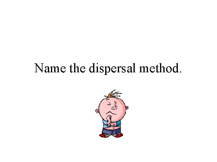 Name the dispersal method. 