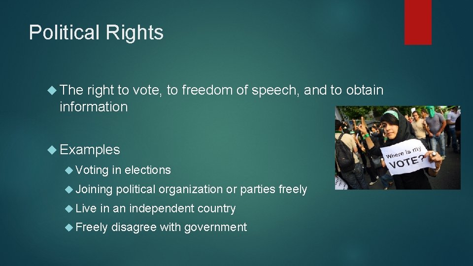 Political Rights The right to vote, to freedom of speech, and to obtain information