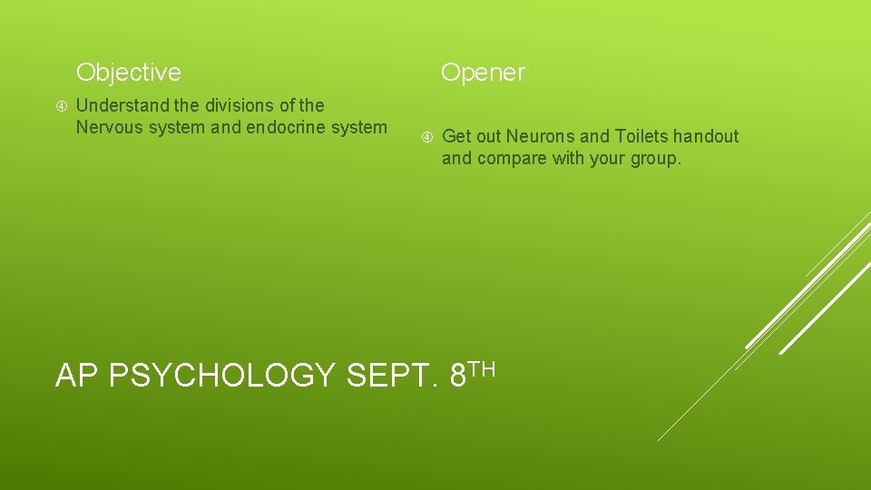 Objective Understand the divisions of the Nervous system and endocrine system Opener Get out