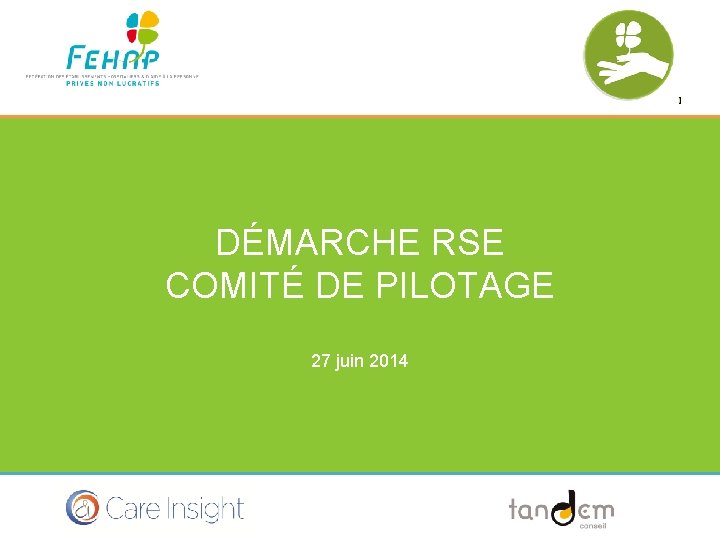 DMARCHE RSE COMIT DE PILOTAGE 27 juin 2014