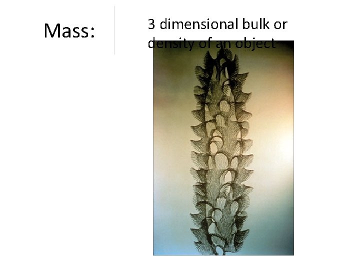 Mass: 3 dimensional bulk or density of an object 