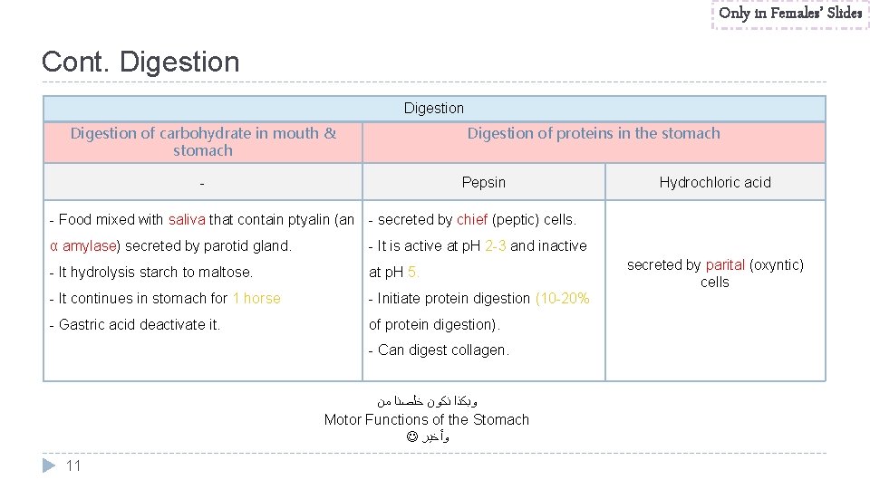 Only in Females’ Slides Cont. Digestion of carbohydrate in mouth & stomach Digestion of