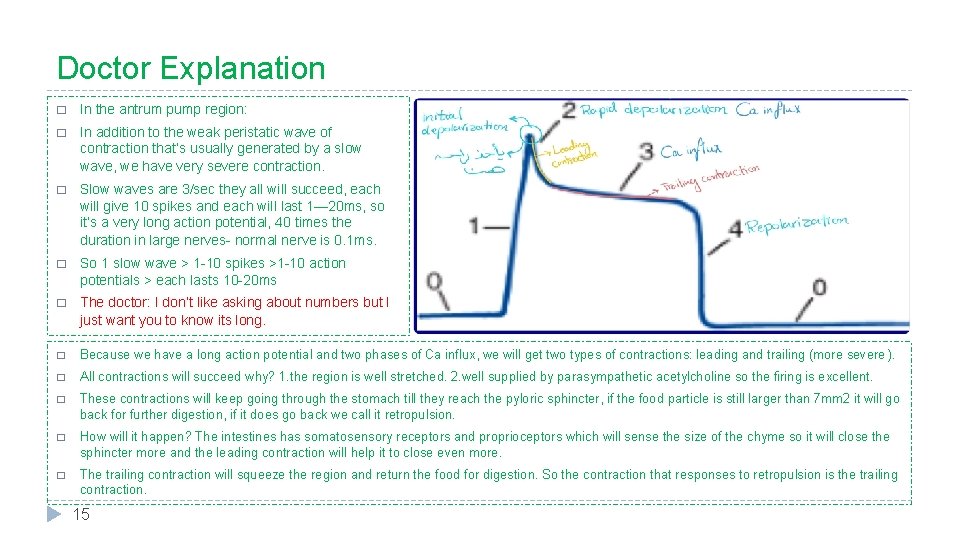 Doctor Explanation � In the antrum pump region: � In addition to the weak