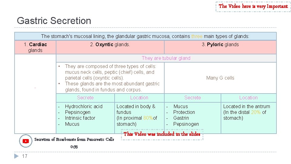 The Video here is very Important Gastric Secretion The stomach's mucosal lining, the glandular