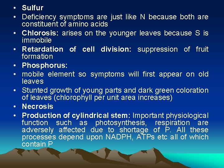  • Sulfur • Deficiency symptoms are just like N because both are constituent