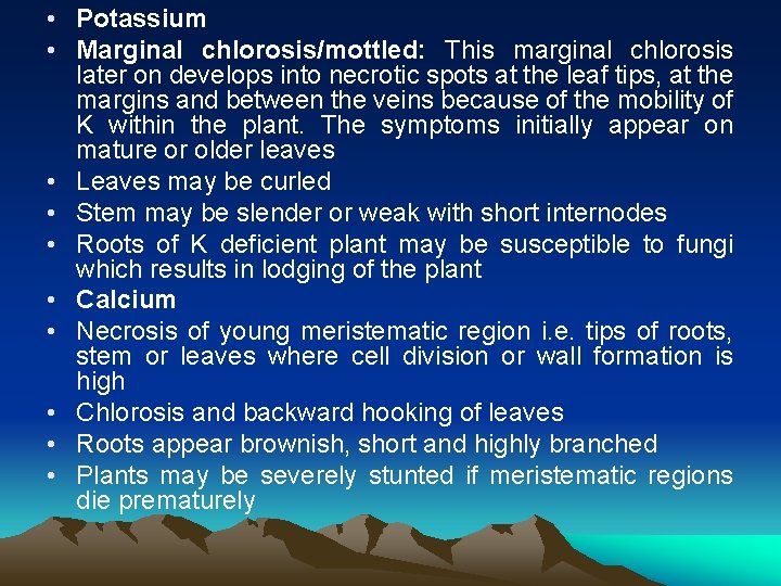  • Potassium • Marginal chlorosis/mottled: This marginal chlorosis later on develops into necrotic