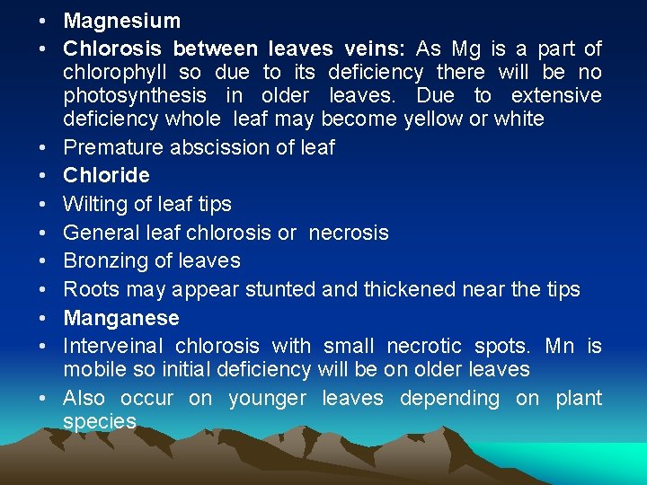  • Magnesium • Chlorosis between leaves veins: As Mg is a part of