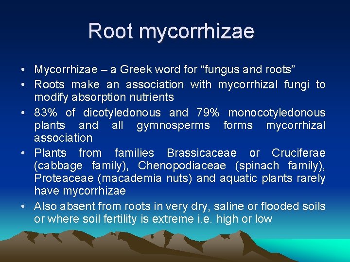 Root mycorrhizae • Mycorrhizae – a Greek word for “fungus and roots” • Roots