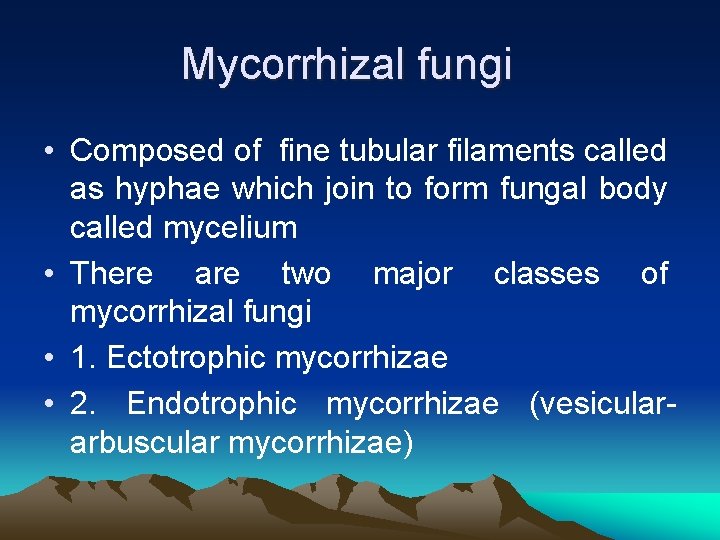 Mycorrhizal fungi • Composed of fine tubular filaments called as hyphae which join to