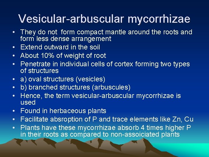 Vesicular-arbuscular mycorrhizae • They do not form compact mantle around the roots and form