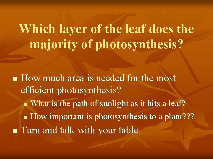 Which layer of the leaf does the majority of photosynthesis? n How much area Which layer of the leaf does the majority of photosynthesis? n How much area