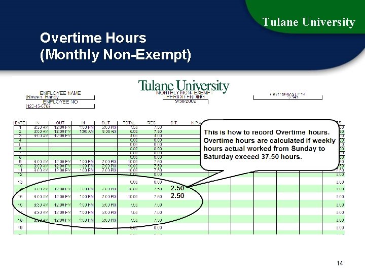 Tulane University Overtime Hours (Monthly Non-Exempt) 14 