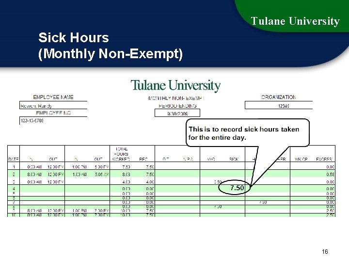 Tulane University Sick Hours (Monthly Non-Exempt) 16 