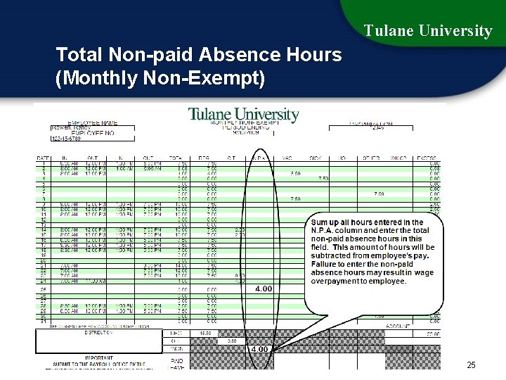 Tulane University Total Non-paid Absence Hours (Monthly Non-Exempt) 25 