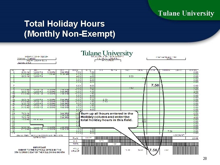 Tulane University Total Holiday Hours (Monthly Non-Exempt) 28 