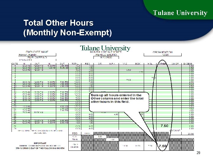 Tulane University Total Other Hours (Monthly Non-Exempt) 29 