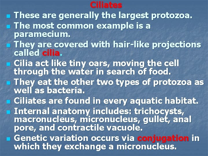 n n n n Ciliates These are generally the largest protozoa. The most common