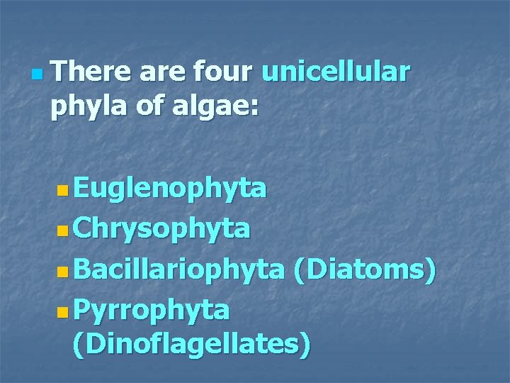 n There are four unicellular phyla of algae: n Euglenophyta n Chrysophyta n Bacillariophyta n There are four unicellular phyla of algae: n Euglenophyta n Chrysophyta n Bacillariophyta