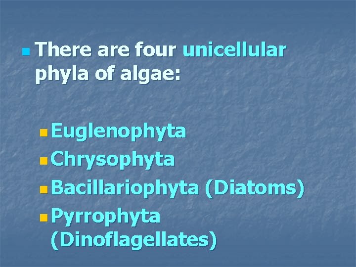 n There are four unicellular phyla of algae: n Euglenophyta n Chrysophyta n Bacillariophyta