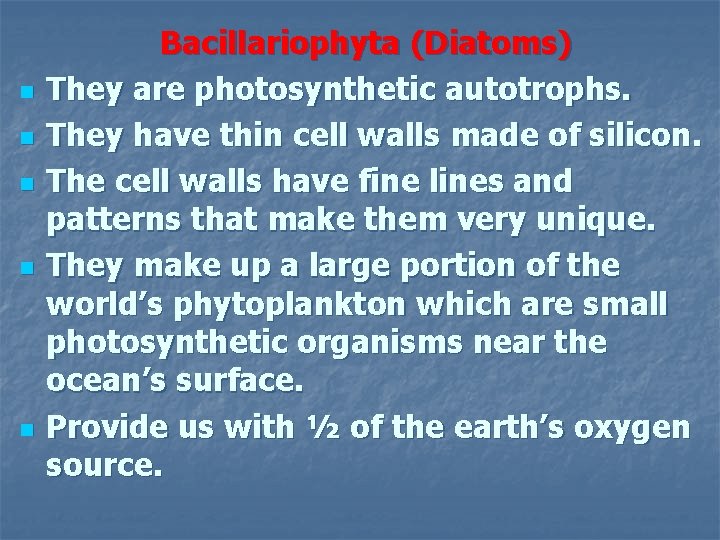 n n n Bacillariophyta (Diatoms) They are photosynthetic autotrophs. They have thin cell walls