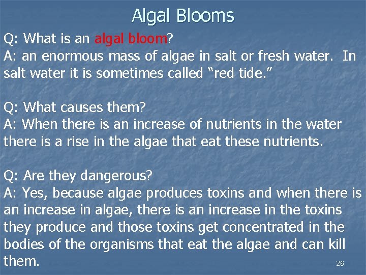 Algal Blooms Q: What is an algal bloom? A: an enormous mass of algae