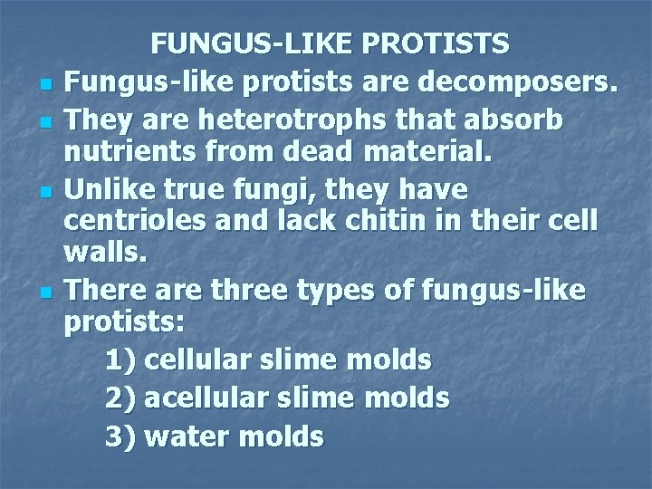 n n FUNGUS-LIKE PROTISTS Fungus-like protists are decomposers. They are heterotrophs that absorb nutrients