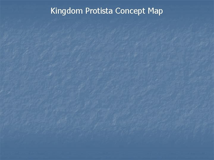 Kingdom Protista Concept Map 