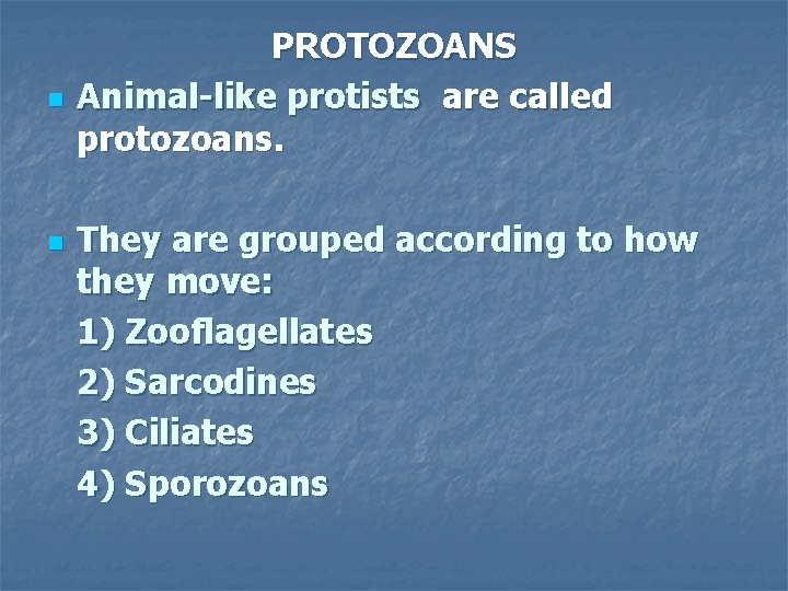 n n PROTOZOANS Animal-like protists are called protozoans. They are grouped according to how