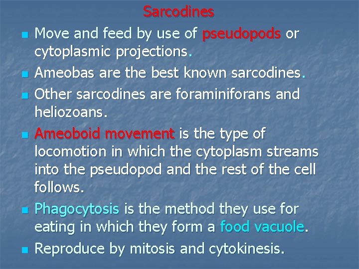 n n n Sarcodines Move and feed by use of pseudopods or cytoplasmic projections.