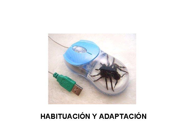 HABITUACIÓN Y ADAPTACIÓN 