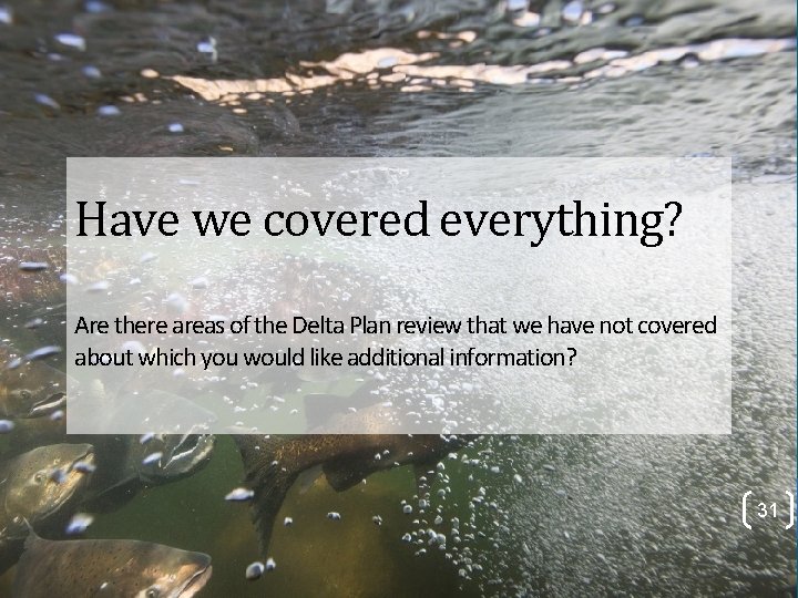 Have we covered everything? Are there areas of the Delta Plan review that we