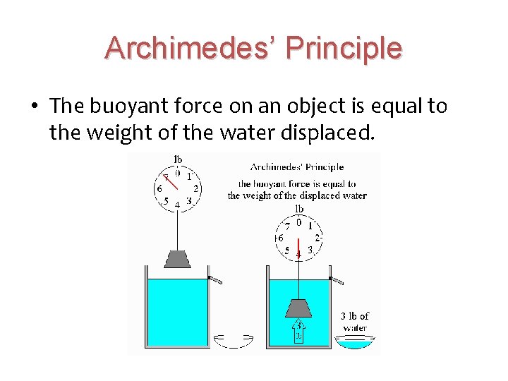 Archimedes’ Principle • The buoyant force on an object is equal to the weight