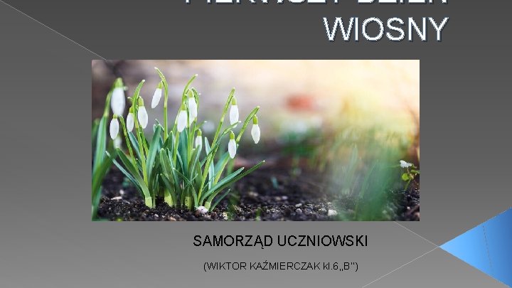 PIERWSZY DZIEŃ WIOSNY SAMORZĄD UCZNIOWSKI (WIKTOR KAŹMIERCZAK kl. 6, , B’’) 