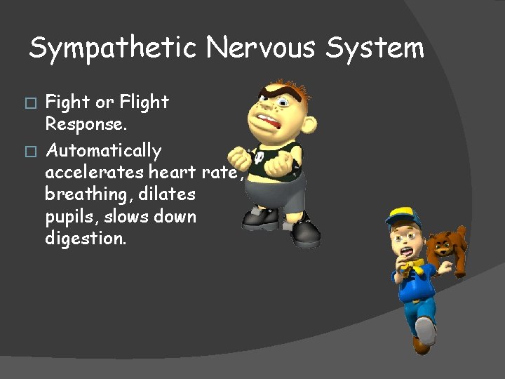 Sympathetic Nervous System Fight or Flight Response. � Automatically accelerates heart rate, breathing, dilates