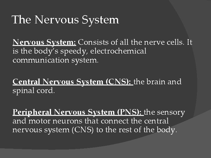 The Nervous System: Consists of all the nerve cells. It is the body’s speedy,