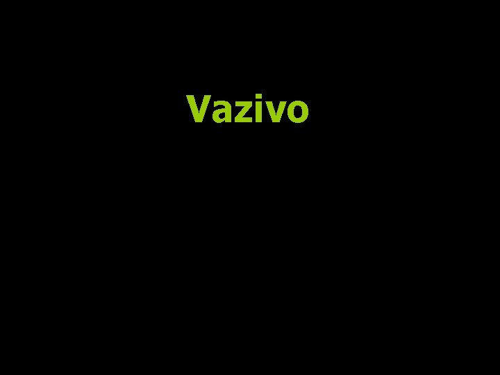 Vazivo 