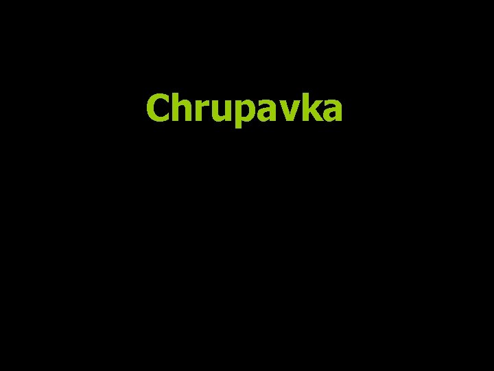 Chrupavka 