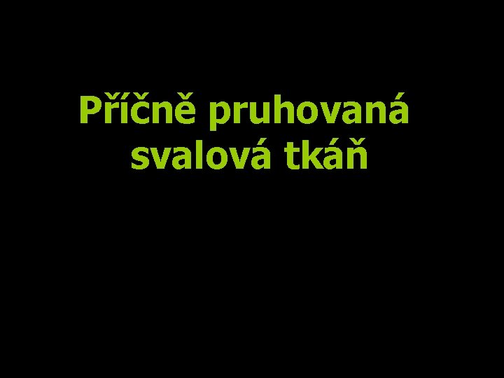 Příčně pruhovaná svalová tkáň 