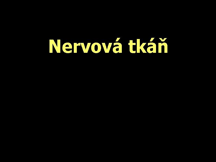 Nervová tkáň 