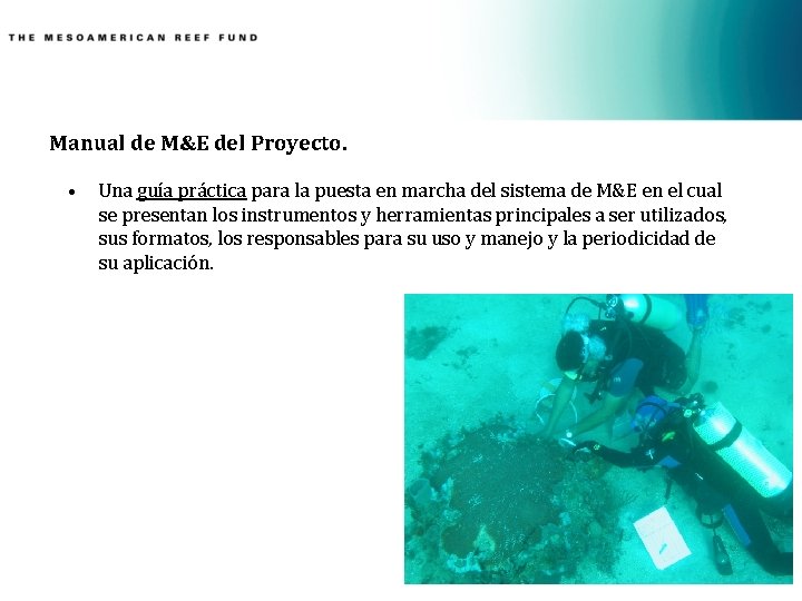 Manual de M&E del Proyecto. • Una guía práctica para la puesta en marcha